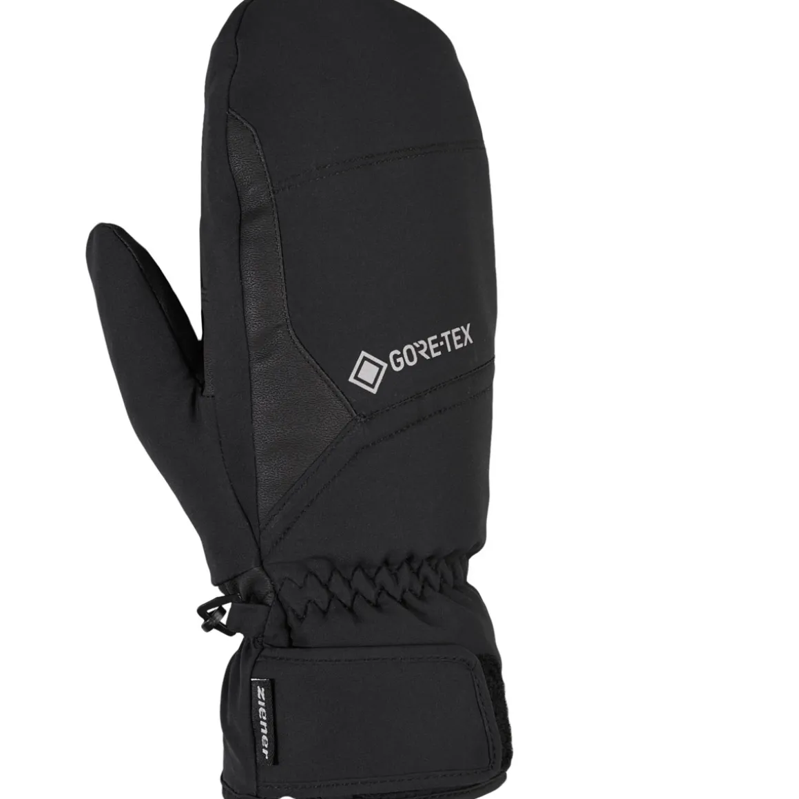 GARWEL GTX MITTEN glove ski alpine