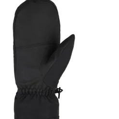 GARWEL GTX MITTEN glove ski alpine