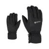 GARWEN GTX glove ski alpine