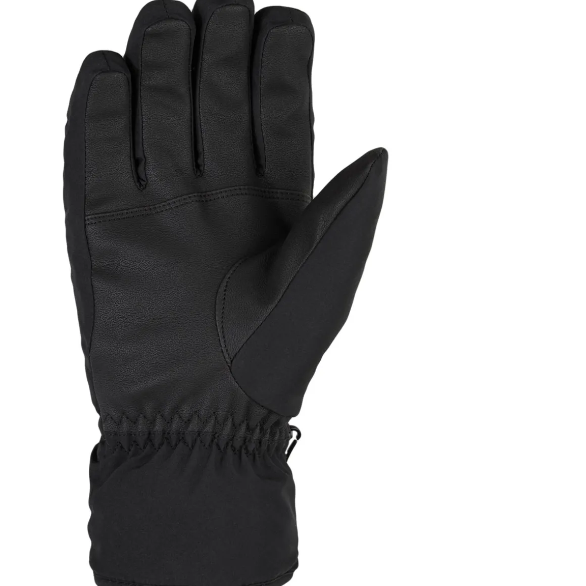 GARWEN GTX glove ski alpine