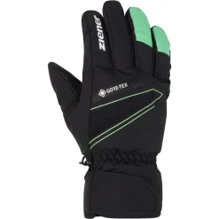 GUNAR GTX glove ski alpine