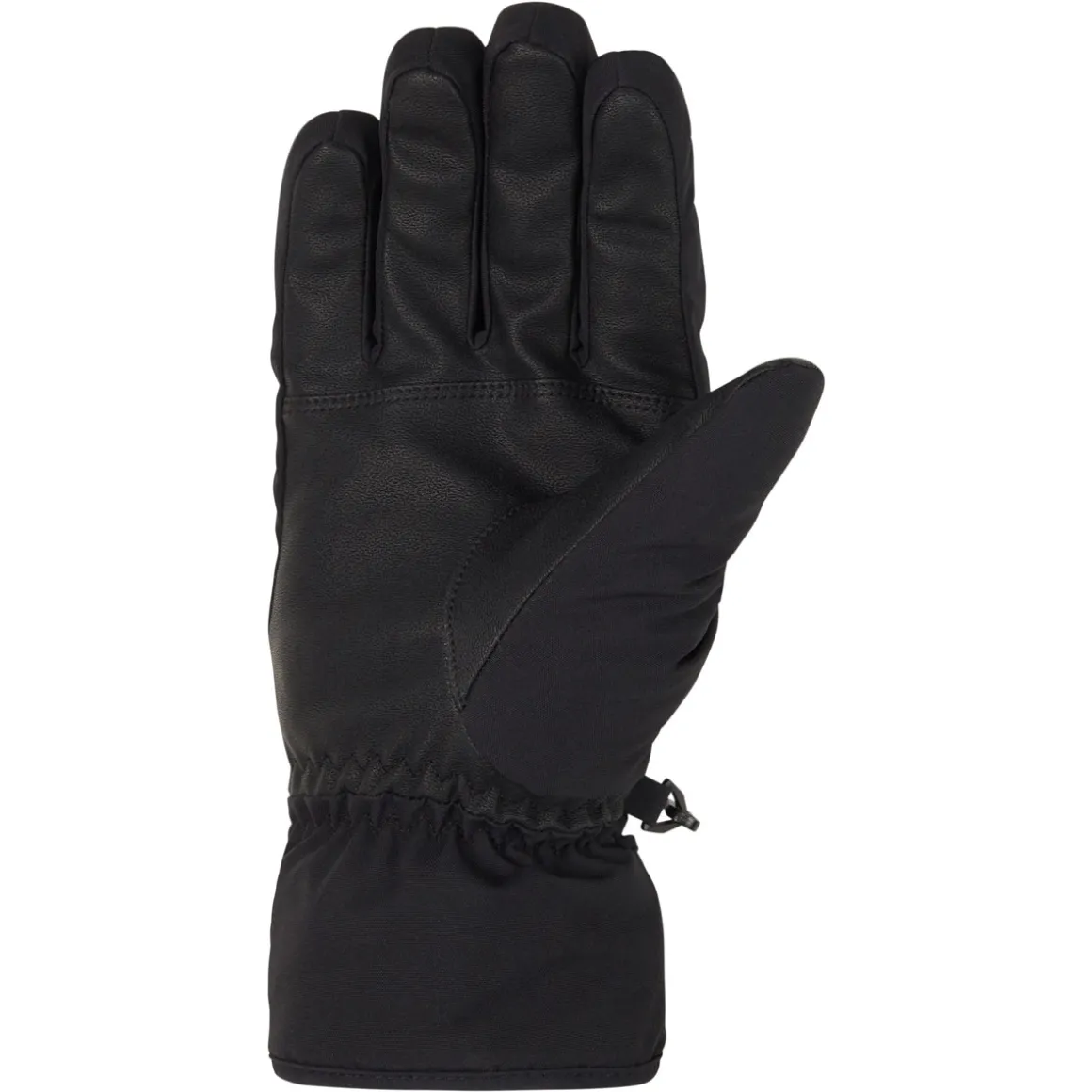 GUNAR GTX glove ski alpine