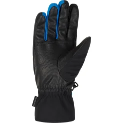 GABINO glove ski alpine