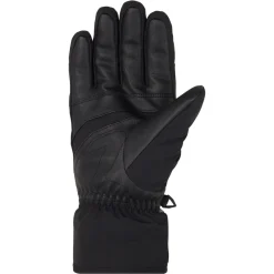 GALIBO GTX glove ski alpine