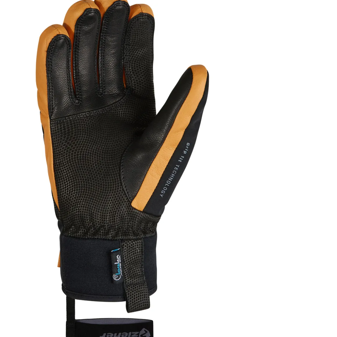 GANZENBERG AS(R) AW glove ski alpine