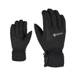 GARWEN GTX glove ski alpine