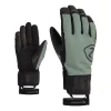 GASPAR AS(R) PR glove ski alpine
