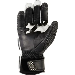 GATOS PR glove race