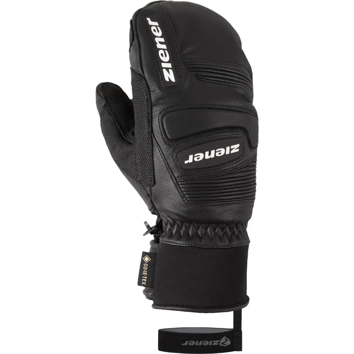 GUARDI GTX + Gore plus warm PR MITTEN glove ski alpine